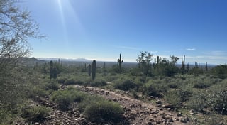 Location preview