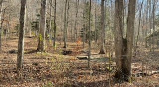 Location preview