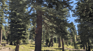 Location preview