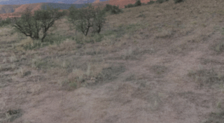 Location preview