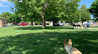 Location preview
