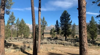 Location preview