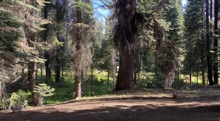Location preview