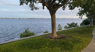 Location preview