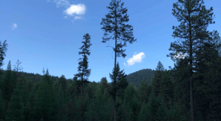 Location preview