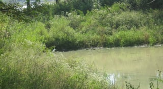 Location preview