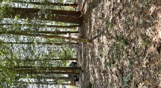 Location preview