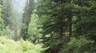 Location preview