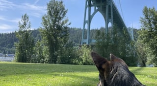 Location preview