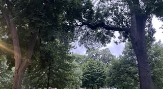 Location preview