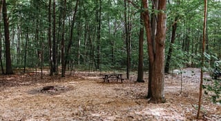 Location preview