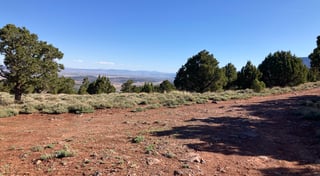Location preview