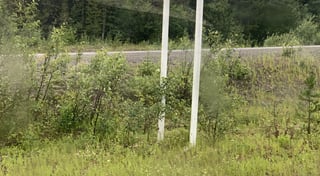 Location preview