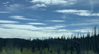 Location preview