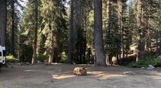 Location preview
