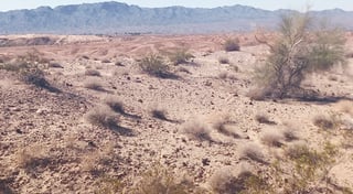 Location preview