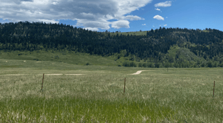 Location preview