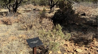 Location preview