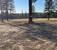 Location preview