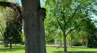 Location preview