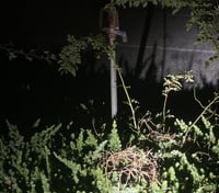 Location preview