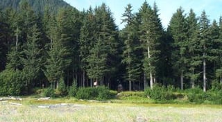 Location preview
