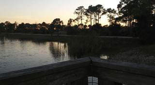 Location preview