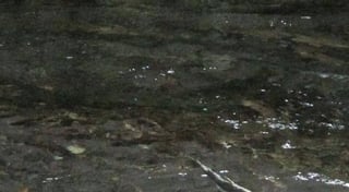 Location preview