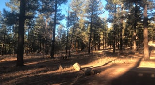Location preview