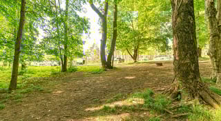 Location preview