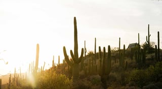 Location preview