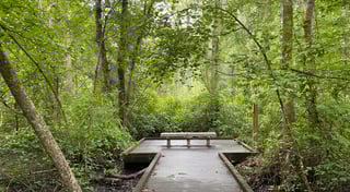 Location preview