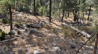 Location preview