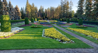 Location preview