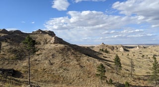 Location preview