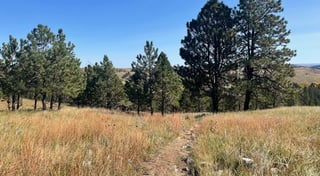 Location preview