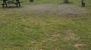 Location preview