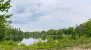 Location preview