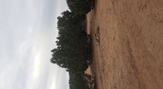 Location preview