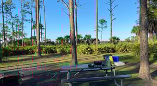 Location preview