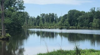 Location preview