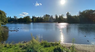 Location preview